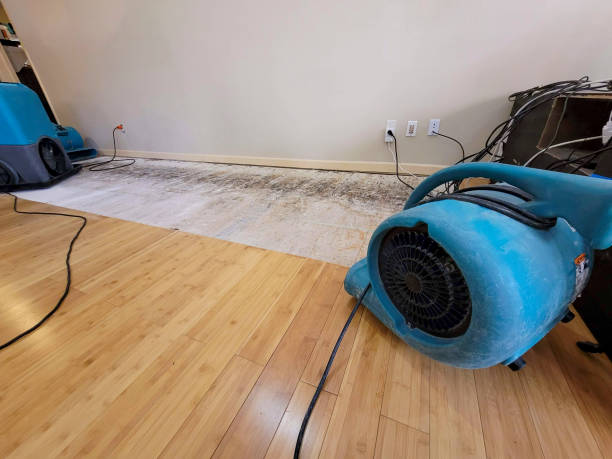 Professional Basement Flood Cleanup technician working in Newport, ME